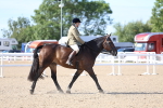 SBM_17595