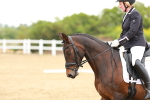 Class 16 - Novice 6 portfolio