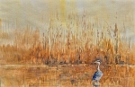 Heron