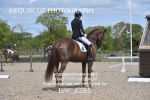 BPP_6385