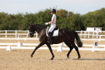 SBM_003888