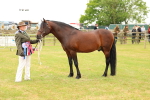 SBM_04315