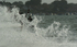 Splash