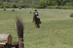 BVHT 140517  IXC -579