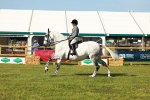 SBM_11791