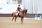 SBM_004428