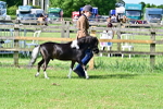 SBM_03377