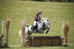 BVHT 140517  NXC -281