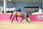 SBM_02252