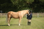 SBM_10464