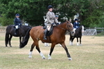 WJ7_1270