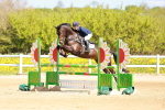 SBM_001431