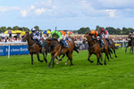 300826-Race 2-Jm Jungle-9680