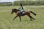 BVHT 140517  IXC -538