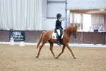SBM_007653
