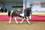 SBM_17281