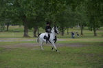 NGP_6844