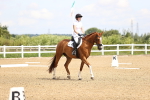 SBM_000336