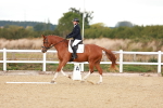 SBM_002275