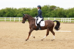 SBM_005004