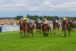 160724-Race 4-Jack Of Clubs-8996