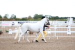 SBM_00274