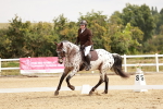 SBM_002748