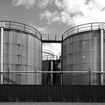 The Vats