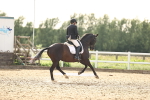 SBM_002919