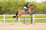 SBM_006038