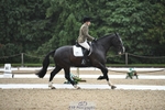 255-Helen_Govier-Marvin portfolio