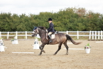 SBM_009881