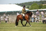 SBM_06890