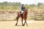 SBM_003590