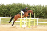 SBM_009873