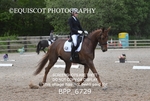BPP_6729