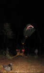 Haunted hayride, Walpole