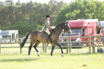 SBM_10216