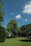 IMGL7833_2