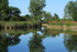 Summer reflections 2012