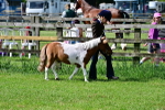 SBM_03405