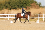 SBM_016664