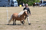 WJ6_8616