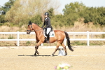 SBM_016981