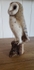 Barn Owl Photo 3.
