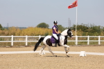 SBM_004341