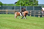 SBM_05804