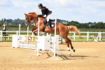 SBM_003270