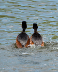 20140427-3K8A0569