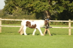 SBM_60798
